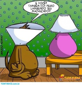 piadas-tontinho-machucado-475x492