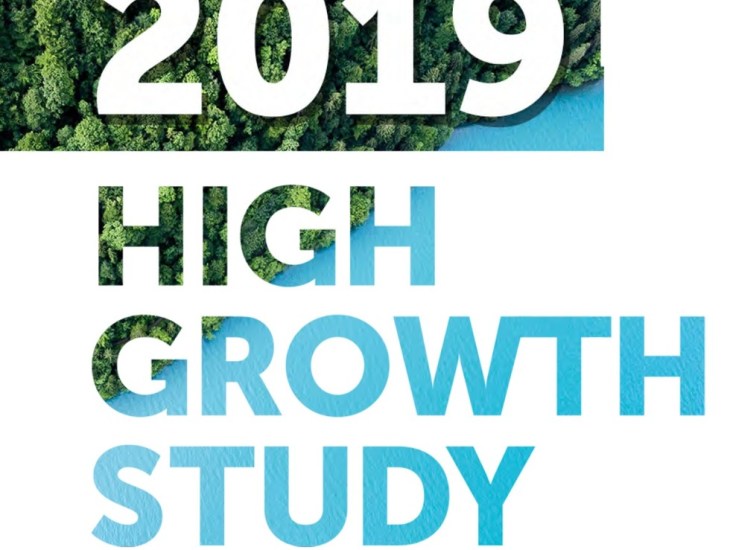 Fonte: https://www.larrybodine.com/5-hallmarks-of-high-growth-firms