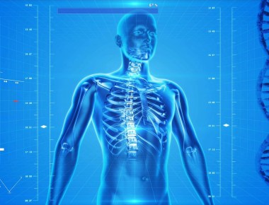 Fonte: https://pixabay.com/illustrations/human-skeleton-human-body-anatomy-163715